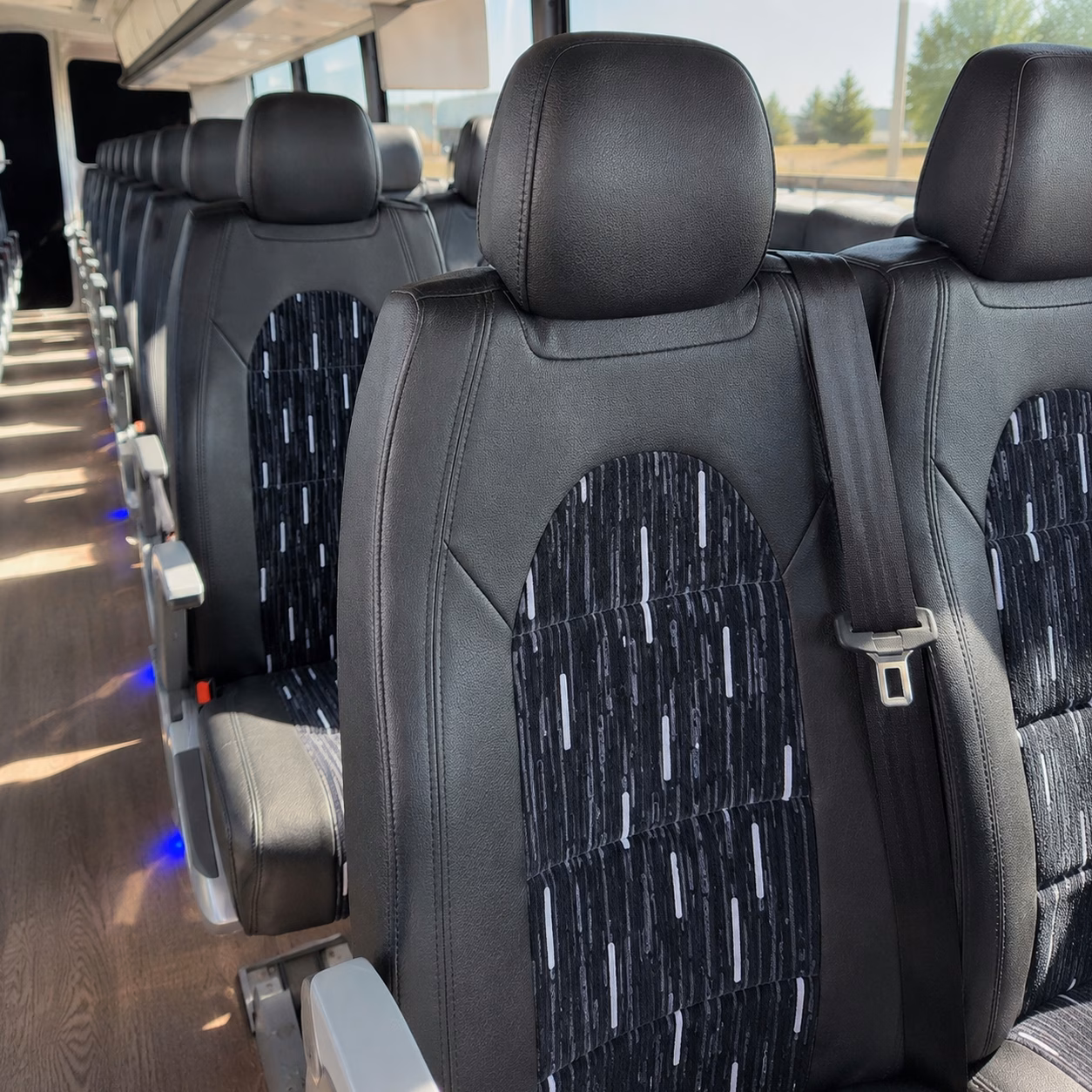 compare buses in minutes not days